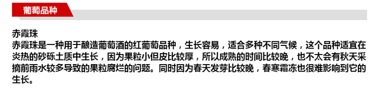 馬克斯威紅酒